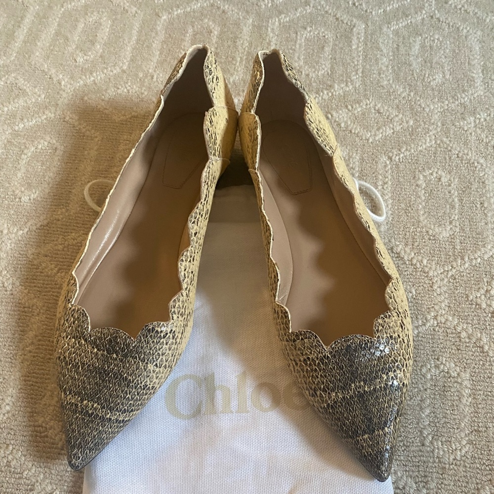 Chloe Scallop Snakeskin Pointy Toe Flats
